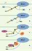 Figure 5. Figure 5.