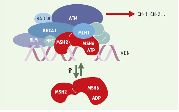 Figure 5.