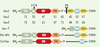 Figure 1. Figure 1.