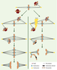 Figure 3. Figure 3.