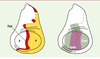 Figure 1. Figure 1.
