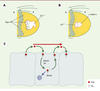 Figure 2. Figure 2.