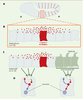 Figure 3. Figure 3.