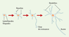 Figure 1. Figure 1.