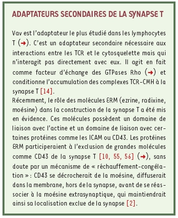 inline-graphic medsci2003194p429-img2.jpg