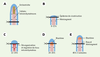 Figure 2. Figure 2.