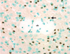 Figure 1. Figure 1.