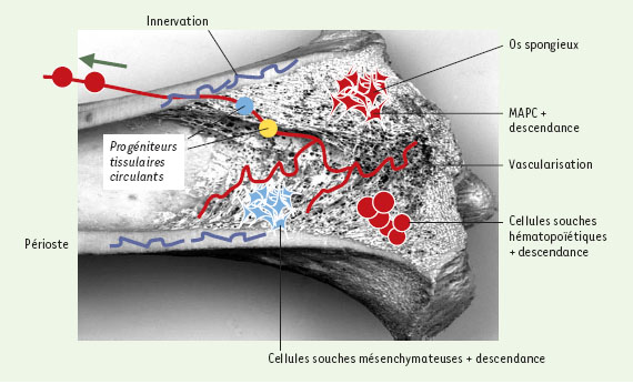 Figure 5.