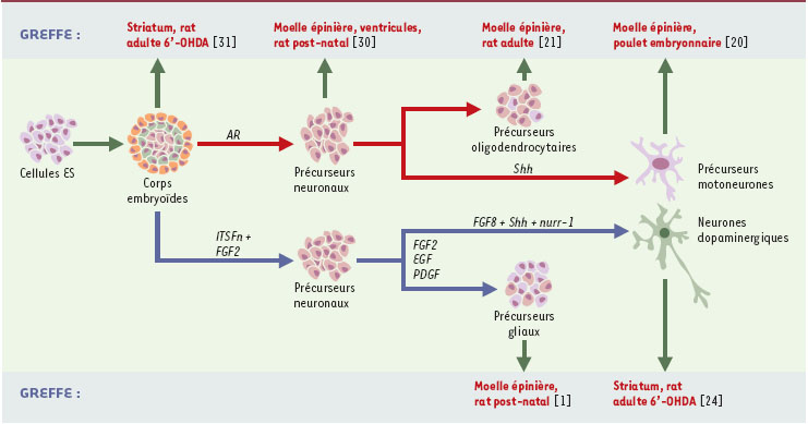 Figure 3.