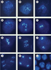 Figure 3. Figure 3.