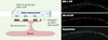 Figure 4. Figure 4.
