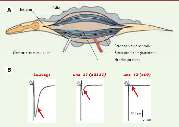 Figure 6.