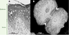Figure 1. Figure 1.