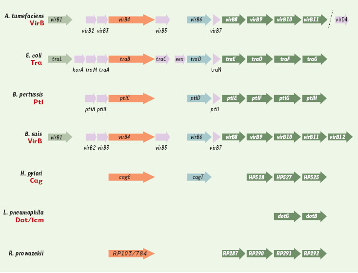 Figure 2.