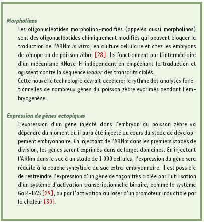 inline-graphic medsci2002184p448-img2.jpg