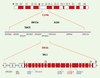 Figure 1. Figure 1.