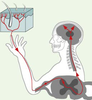 Figure 1. Figure 1.