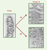Figure 4. Figure 4.
