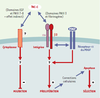 Figure 3. Figure 3.