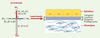 Figure 1. Figure 1.