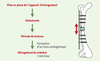 Figure 1. Figure 1.