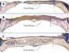 Figure 2. Figure 2.