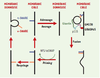 Figure 3. Figure 3.
