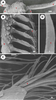 Figure 1. Figure 1.
