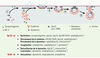 Figure 4. Figure 4.