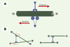 Figure 4. Figure 4.