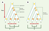 Figure 2. Figure 2.