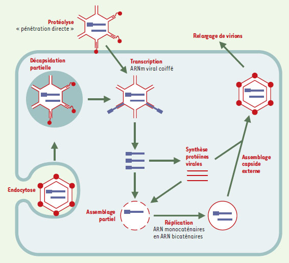 Figure 1.