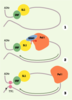Figure 3. Figure 3.