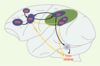 Figure 1. Figure 1.