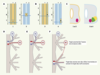 Figure 2. Figure 2.