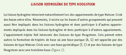 inline-graphic medsci2004202p148-img1.gif