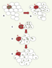Figure 2. Figure 2.