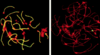 Figure 2. Figure 2.
