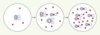 Figure 1. Figure 1.