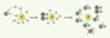Figure 2. Figure 2.