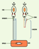Figure 1. Figure 1.