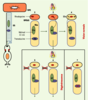 Figure 2. Figure 2.