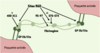 Figure 2. Figure 2.