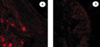 Figure 2. Figure 2.
