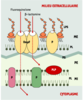 Figure 1. Figure 1.