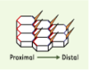 Figure 1. Figure 1.
