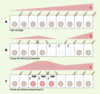 Figure 3. Figure 3.