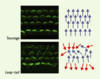 Figure 4. Figure 4.