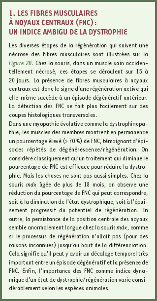 inline-graphic medsci2004204p442-img1.gif