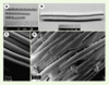 Figure 2. Figure 2.